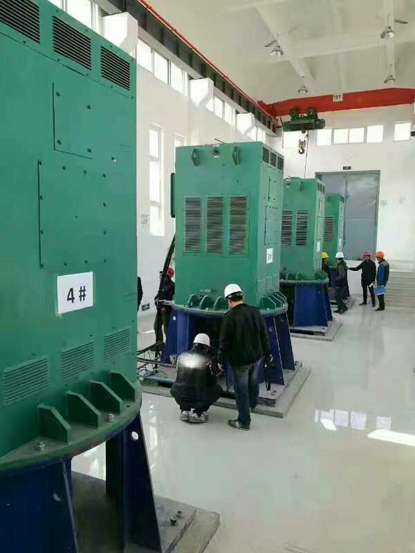 隆广镇某污水处理厂使用我厂的立式高压电机安装现场